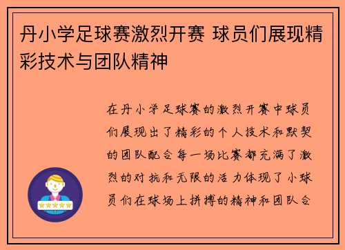 丹小学足球赛激烈开赛 球员们展现精彩技术与团队精神