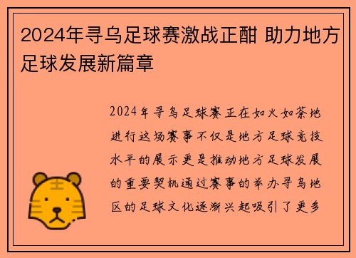 2024年寻乌足球赛激战正酣 助力地方足球发展新篇章