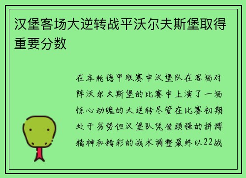 汉堡客场大逆转战平沃尔夫斯堡取得重要分数