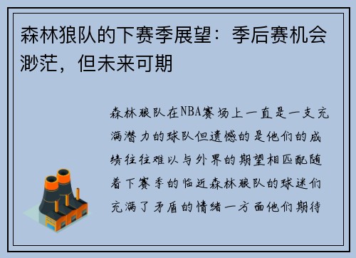 森林狼队的下赛季展望：季后赛机会渺茫，但未来可期