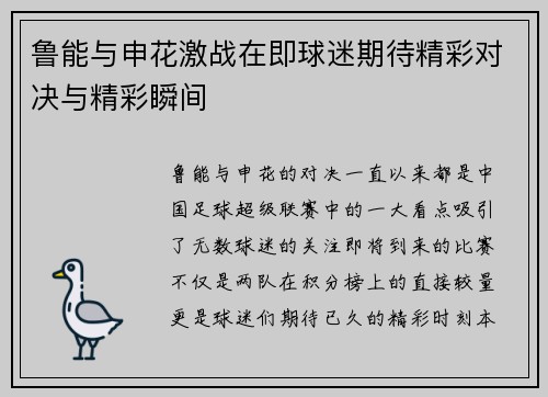 鲁能与申花激战在即球迷期待精彩对决与精彩瞬间