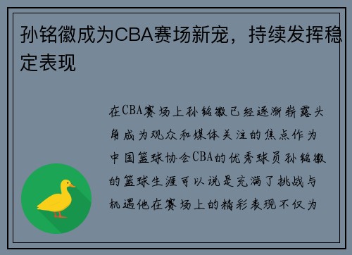 孙铭徽成为CBA赛场新宠，持续发挥稳定表现